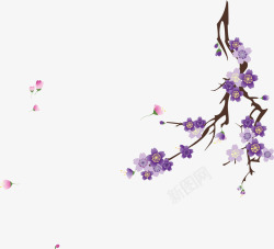 紫色樱桃树枝素材