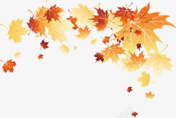 秋天树叶装饰素材