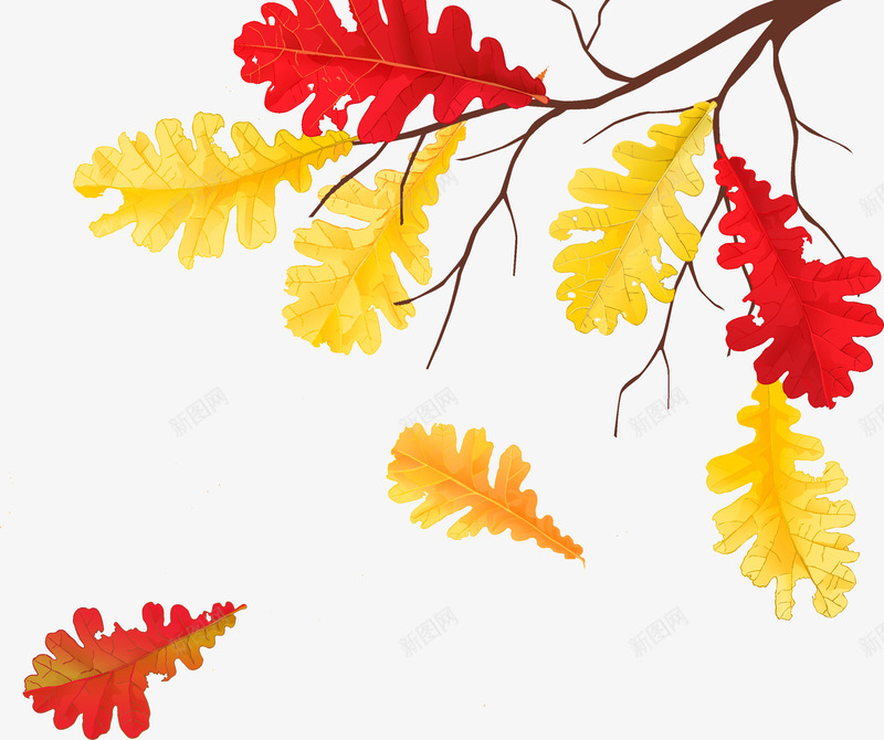 秋天的树叶png免抠素材_新图网 https://ixintu.com 叶子 树叶 植物 田园风 秋天 秋季