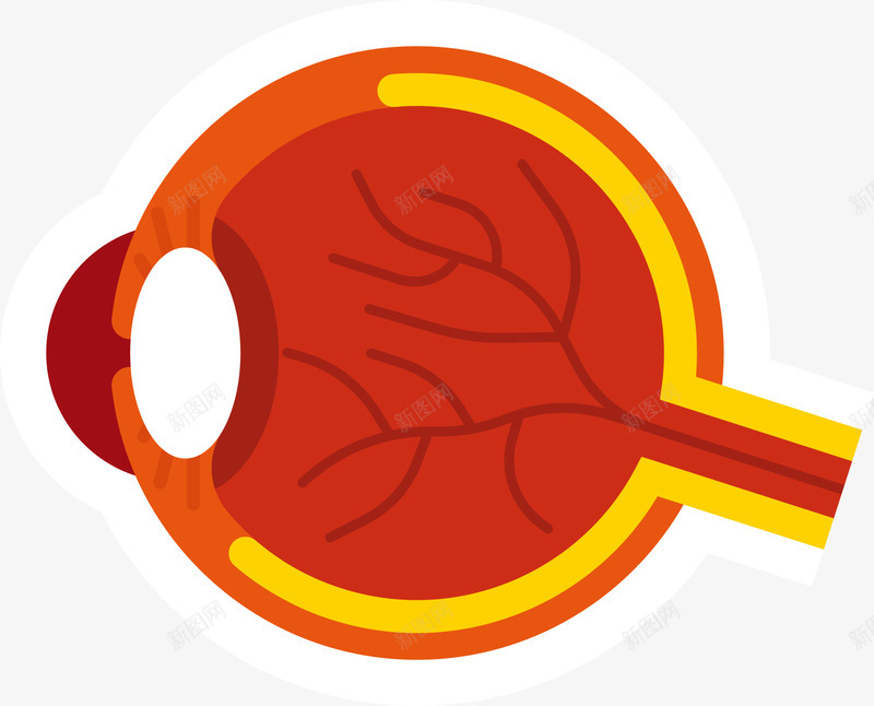 一个红色充满血丝的眼球矢量图eps免抠素材_新图网 https://ixintu.com 一个眼球 充满血丝 眼球 眼球PNG 眼睛 矢量眼球 红色眼球 矢量图