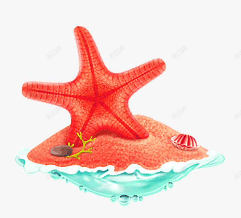 海洋海星装饰png免抠素材_新图网 https://ixintu.com 促销 夏季 沙滩 电商 背景
