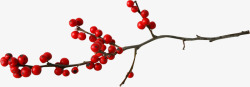 红色果实树枝中国风素材