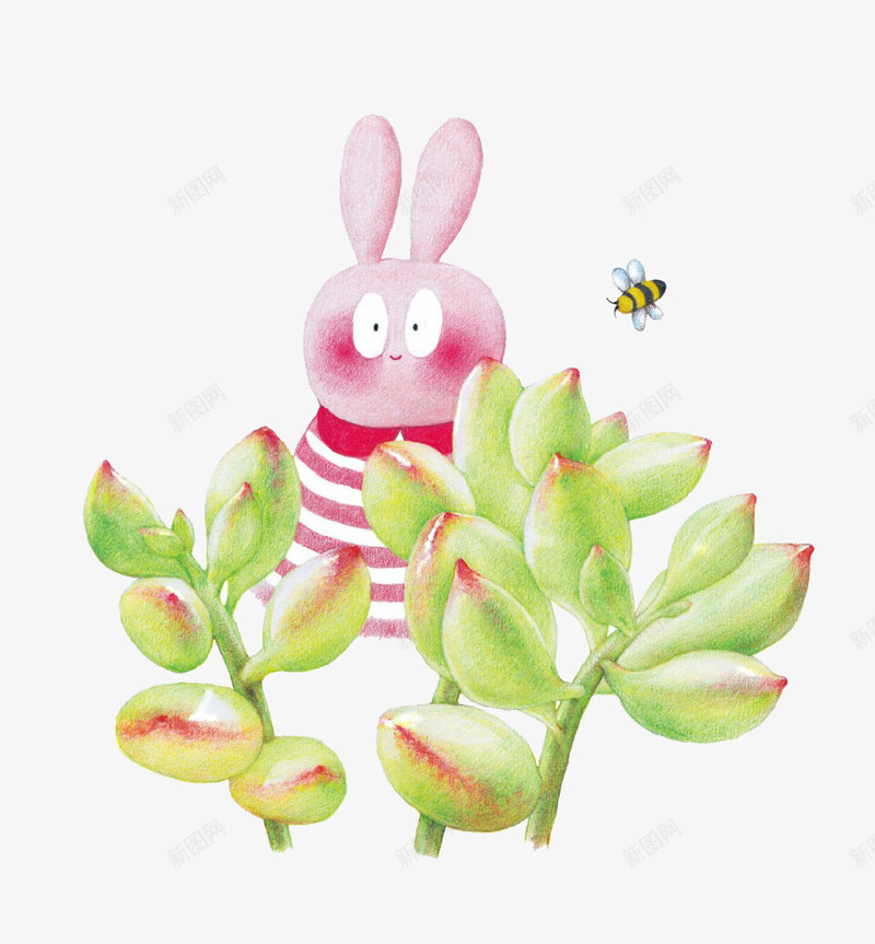 多肉植物与小蜜蜂png免抠素材_新图网 https://ixintu.com 多肉 小兔子 手绘 蜜蜂
