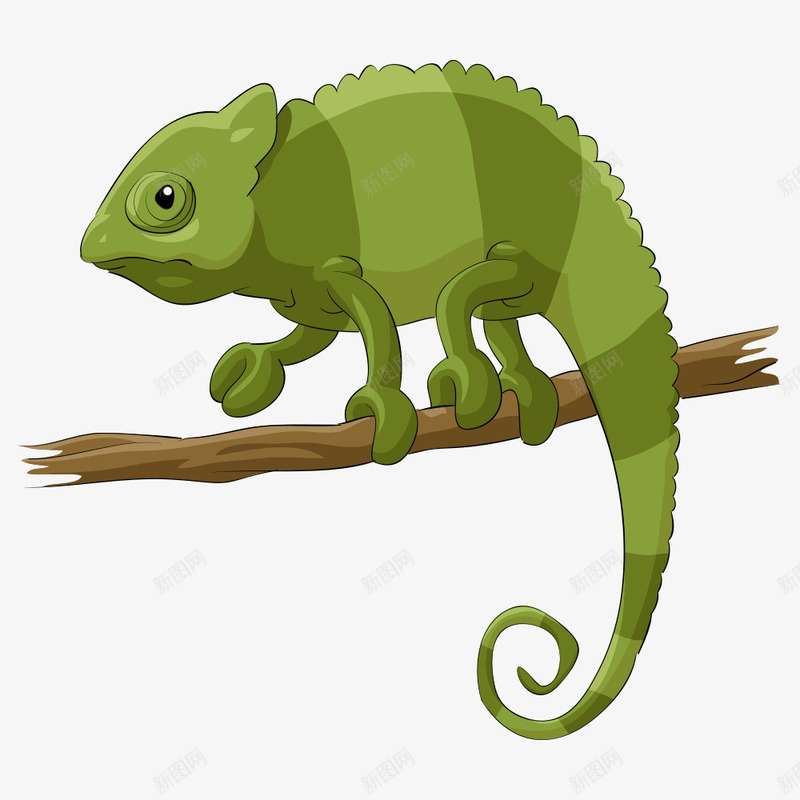 绿色蜥蜴png免抠素材_新图网 https://ixintu.com 动物 动物插画 卡通动物 卡通蜥蜴 树枝上的蜥蜴 矢量动物