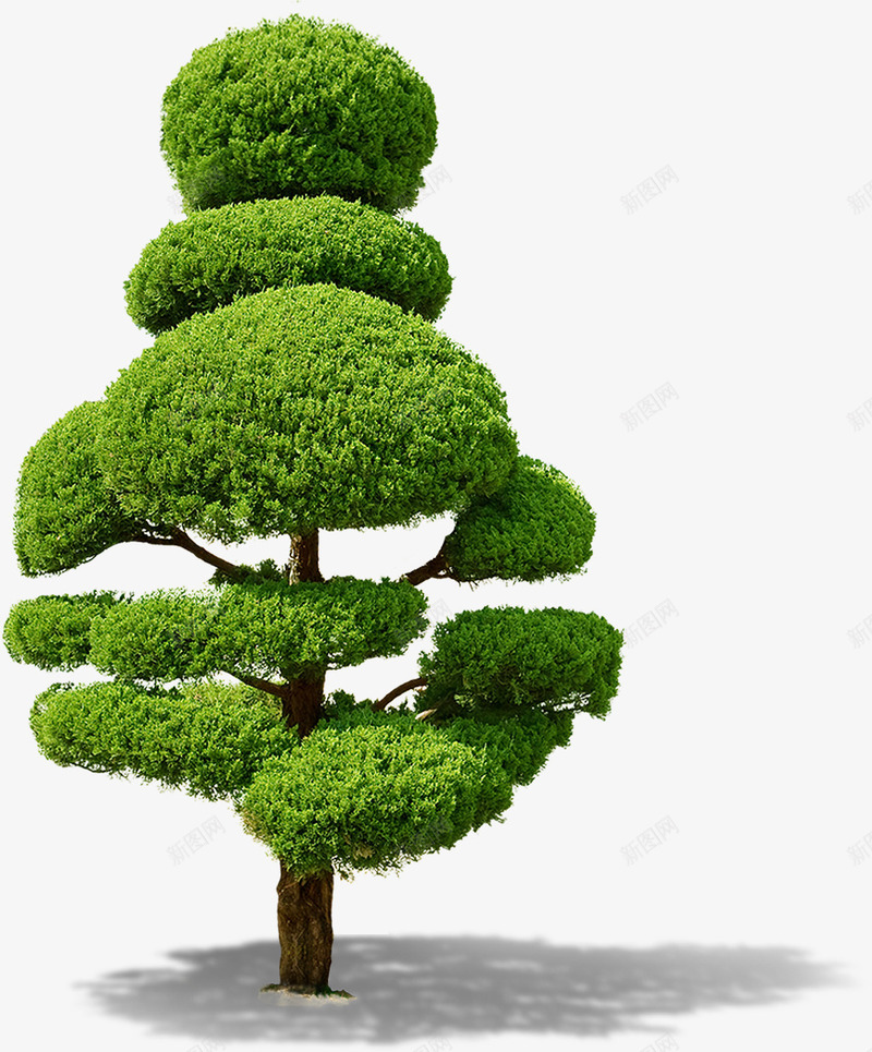 绿树创意组合景观png免抠素材_新图网 https://ixintu.com 创意 景观 组合 绿树