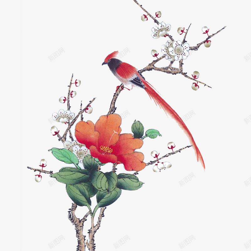 鸟在枝头png免抠素材_新图网 https://ixintu.com 小鸟 橙色 火红色 白色 花朵 花枝 鸟在枝头