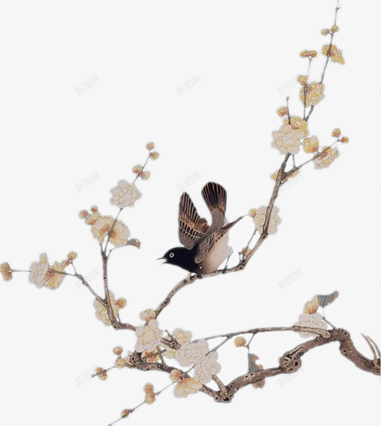 花枝上的小鸟png免抠素材_新图网 https://ixintu.com 卡通小鸟 小鸟 彩色白色小鸟素材 手绘小鸟