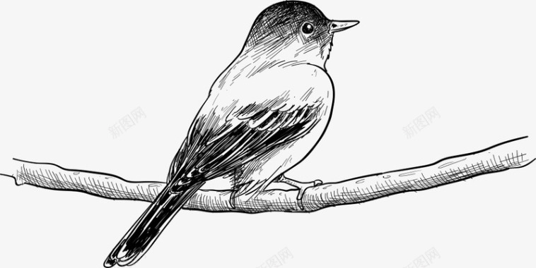 手绘树枝上的小鸟矢量图图标图标