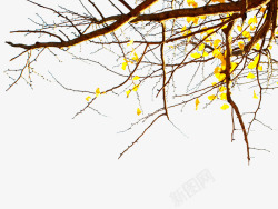 矢量秋树阳光下的枯树枝秋树高清图片