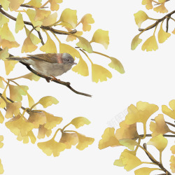 漂亮小鸟秋天黄色漂亮小鸟高清图片
