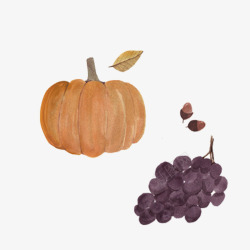 手绘的葡萄南瓜秋天的果实素材