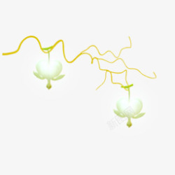 黄色树枝白色花朵素材