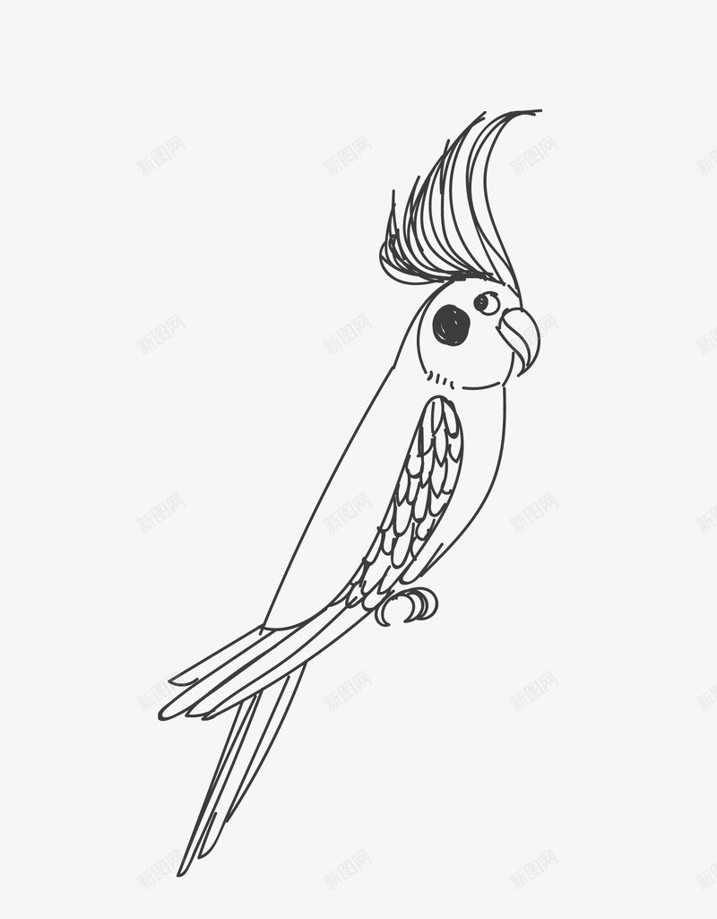 卡通手绘简笔鸟类图标png_新图网 https://ixintu.com 卡通 小鸟 手绘 简笔 简笔画 鸟 鸟类 鹦鹉