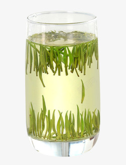 雀舌绿茶水里竖立的茶叶高清图片