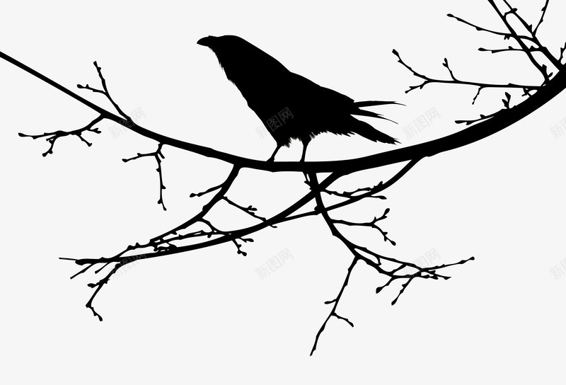 树枝上的小鸟剪影png免抠素材_新图网 https://ixintu.com png图形 小鸟 树枝 植物 装饰 飞禽