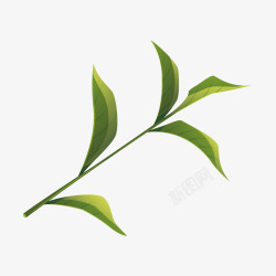 绿色茶叶矢量图素材