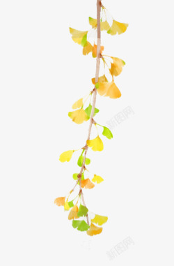 水彩黄色树枝叶子素材