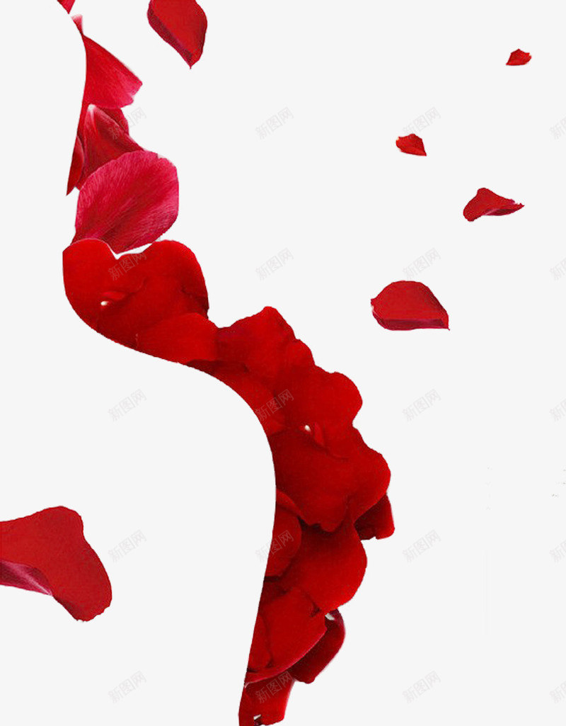 红花瓣飘零png免抠素材_新图网 https://ixintu.com 海波素材 玫瑰花瓣 红色 组合 飘散