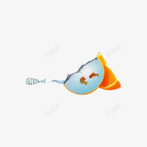 创意橙子水里的鱼png免抠素材_新图网 https://ixintu.com 创意 橙子 气泡 水 水果 组合 金鱼