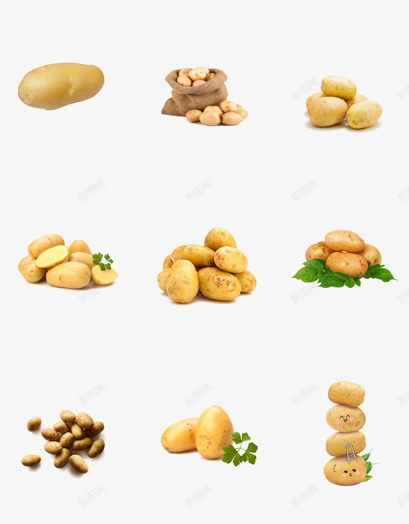 实物土豆组合摆拍psdpsd免抠素材_新图网 https://ixintu.com psd 一个土豆 一堆土豆 产品实物 土豆 实物 摄影