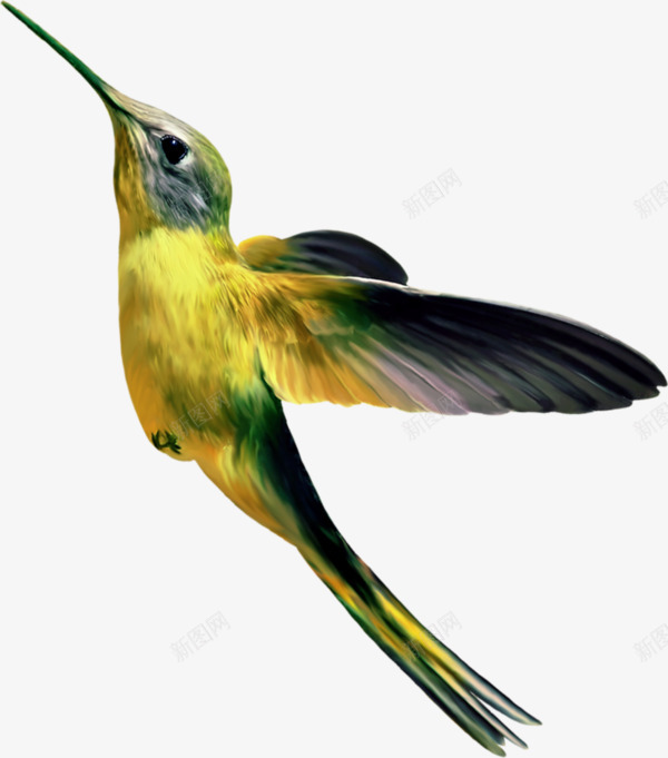 向上飞的小鸟png免抠素材_新图网 https://ixintu.com png素材 向上 飞的小鸟
