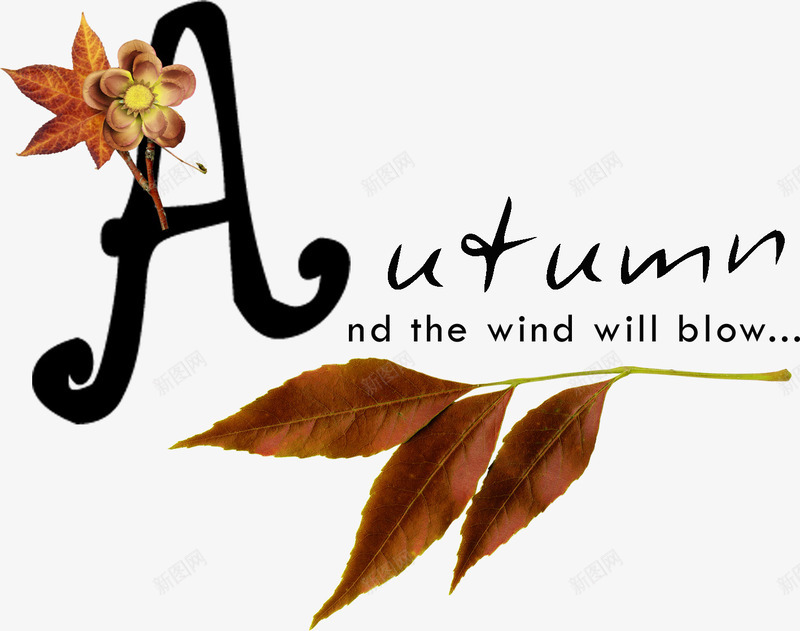 秋天枝叶png免抠素材_新图网 https://ixintu.com autumn 枝叶 秋天 艺术字 英文