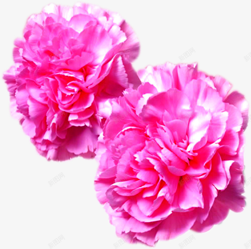 粉色分层花朵节日png免抠素材_新图网 https://ixintu.com 分层 粉色 节日 花朵