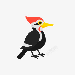 可爱啄木鸟黑色的小鸟高清图片