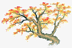 秋天枫树手绘素材