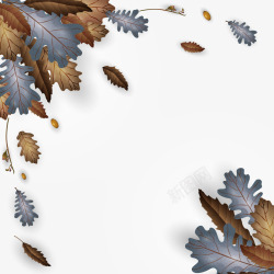 秋天树叶矢量图素材