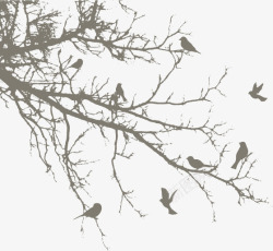 纯色翅膀树上的小鸟片高清图片