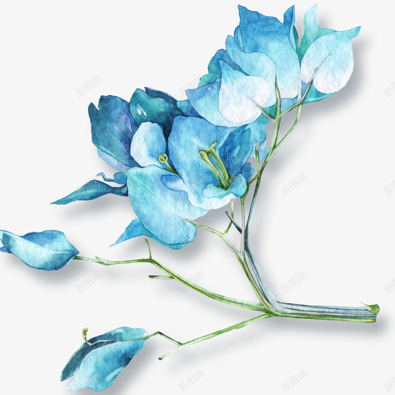 蓝色的手绘树枝花朵png免抠素材_新图网 https://ixintu.com 手绘植物 树枝 植物 花朵 蓝色树枝 蓝色花朵