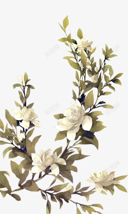 白色花朵绿色树枝植物png免抠素材_新图网 https://ixintu.com 树枝 植物 白色 素材 绿色 花朵