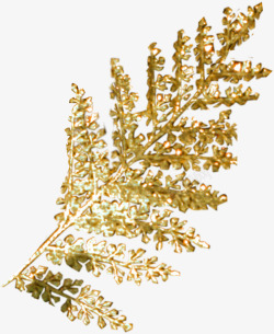 金色树枝造型礼物素材