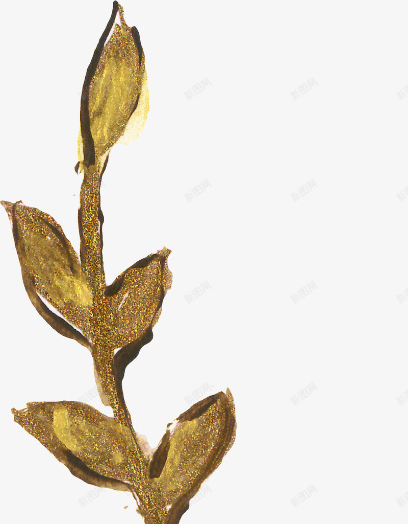 树枝png免抠素材_新图网 https://ixintu.com 叶子 树叶 植物 金箔水彩混合
