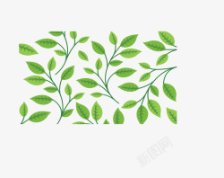 夏季绿色茶叶花纹矢量图素材
