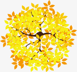 秋季金色树枝植物素材