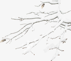 白色雪花树枝造型素材
