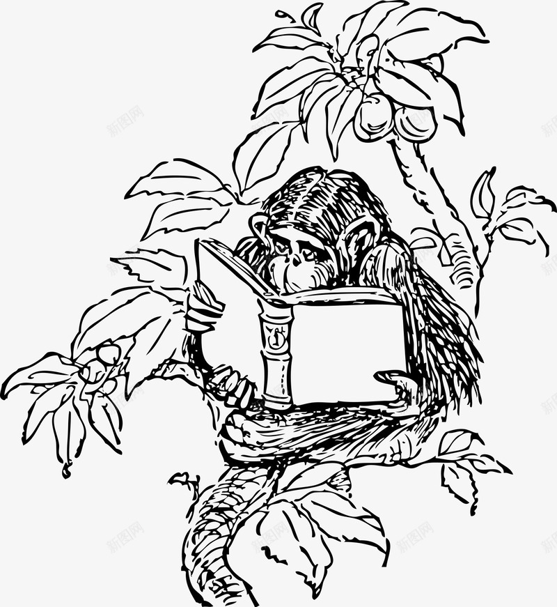 树枝上读书的猴子手绘矢量图ai免抠素材_新图网 https://ixintu.com 手绘的树枝 手绘的猴子 猴子读书 矢量猴子 矢量图