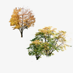 秋天海报风景树素材