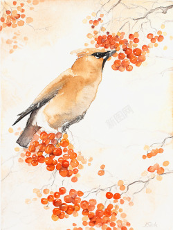 矢量背景花方彩绘小鸟高清图片