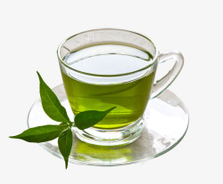 绿茶杯绿茶杯高清图片