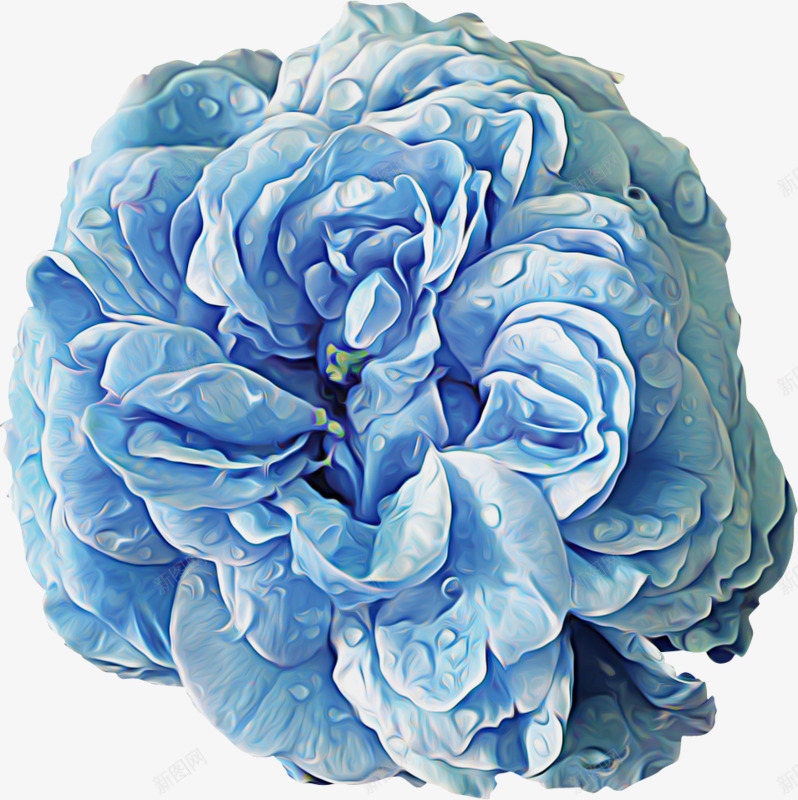 蓝色花朵png免抠素材_新图网 https://ixintu.com 娇嫩 水滴 花朵 蓝色 蓝色花朵 蓝色花朵PNG