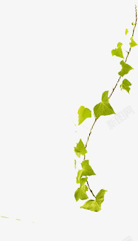 绿色树枝串元素素材