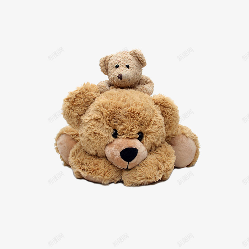 可爱玩具熊png免抠素材_新图网 https://ixintu.com 产品实物 可爱 棉 棕色 玩具熊