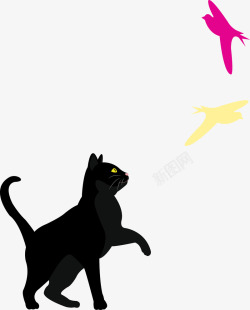 适量黑猫抓鸟素材