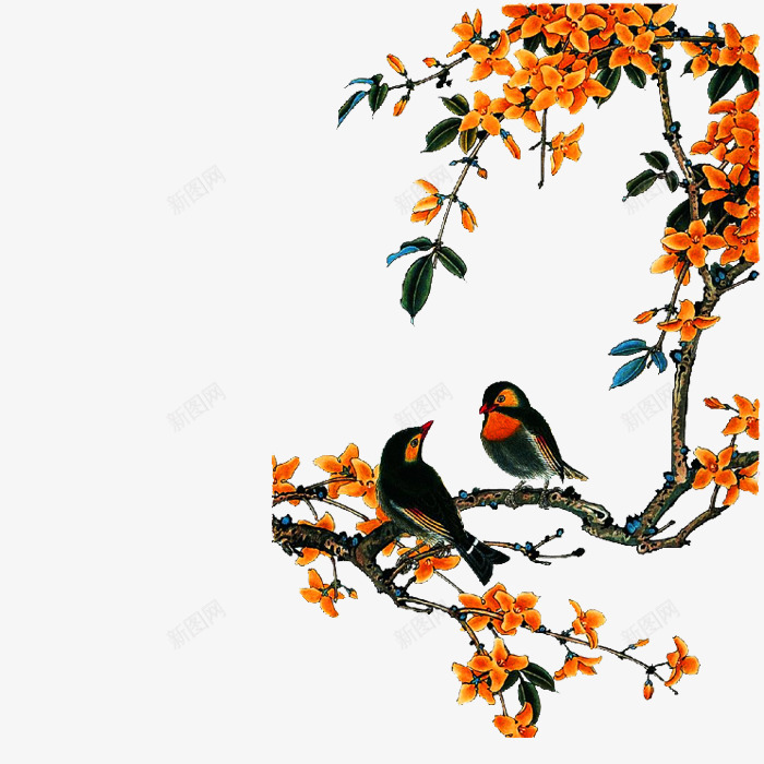 树上的小鸟png免抠素材_新图网 https://ixintu.com 树枝 鸟