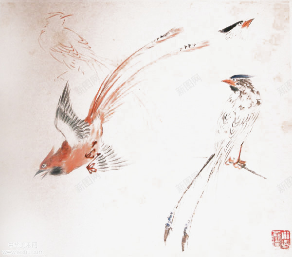 枝头鸟png免抠素材_新图网 https://ixintu.com 中国古代画 仿古画 手绘小鸟 枝头鸟 画鸟步骤 翅膀 芥子园画鸟 花鸟画 褐色花鸟 飞鸟
