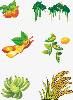 香蕉红薯蔬菜高清图片