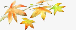 秋季枫叶信纸素材